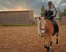 Training with the light brown Haflinger with beige mane