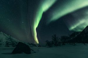 Nordlicht über den Lofoten von Sjoerd van der Wal Fotografie