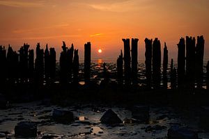 Promenade sur la plage
