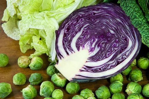 Assortiment kolen in winter