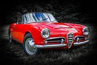 ,,Alfa Romeo Giulia Spider"
