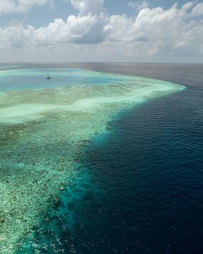 Maldives coral reef from the air by Visuals by Justin