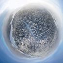 Sferisch Panorama Sneeuwbos Zwabische Alb van Christoph Hermann thumbnail