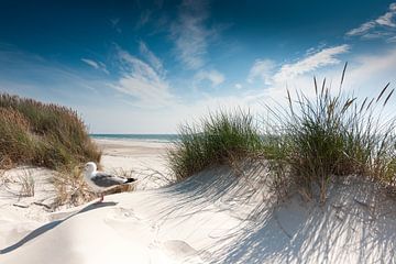 Sylt - on the beach by Reiner Würz / RWFotoArt