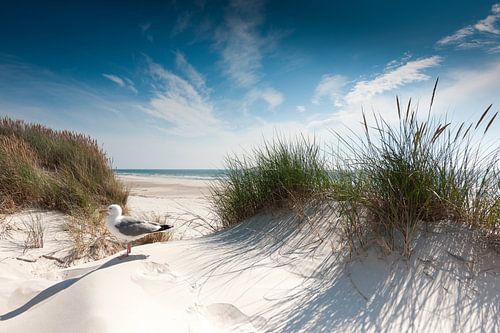 Noordzee - Sylt