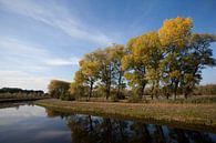 Bäume entlang der Dommel, Braban von Kees van Dun Miniaturansicht