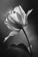 Blume in Schwarz-Weiß