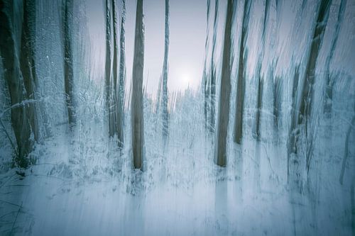 Symfonie van Stilte (Ontwaking)