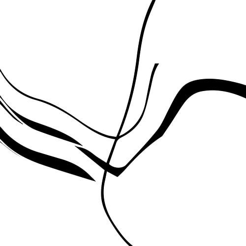 Organisch 8b | Zwart & Wit Minimalistisch Abstract