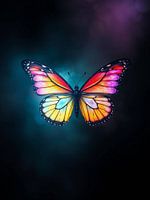 Psychedelic Rainbow Butterfly