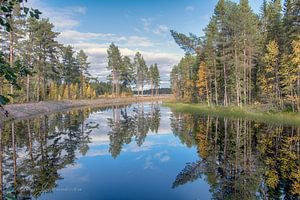 Miroir d'automne