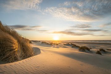 Strand Ameland I van Niels Barto