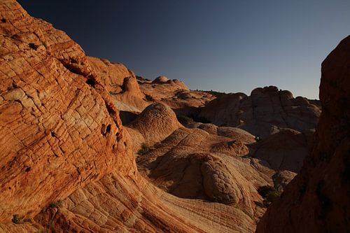 Yant Flat - Candy Cliffs - Cottonwood Forest Wilderness Utah USA