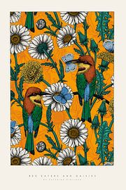 Daisies by Katerina Kirilova