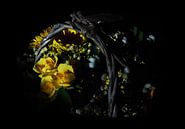 Gelbe rosen von Erik Reijnders Miniaturansicht