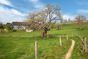 Bergischer Panoramasteig, Bergisches Land, Deutschland
