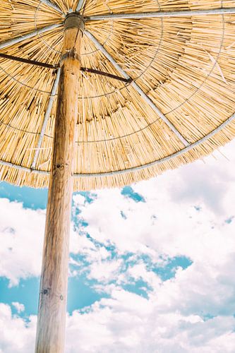 Parasol out of Straw by Patrycja Polechonska