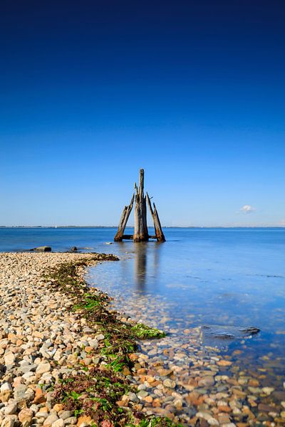 Arendshoofd, een populaire duikstek aan het Grevelingenmeer bij Den Osse in de Nederlandse provincie van gaps photography