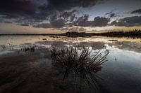 Sonnenuntergang im Biesbosch.