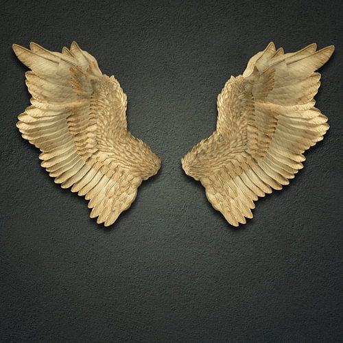 Still life of wings on a grey texture