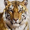 Aureate Presence - Tiger 2 sur Johannas Art Creations
