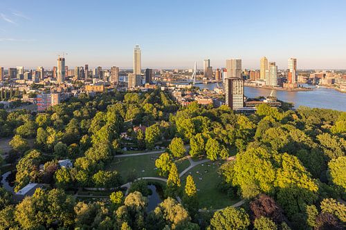 Het schitterende stadspark van Rotterdam tijdens de zonsondergang