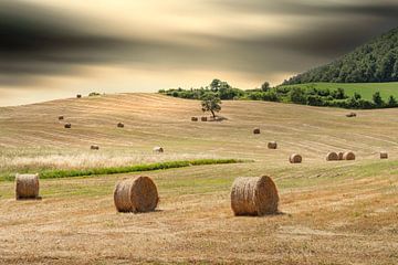 landschap Toscane in Italië van eric van der eijk