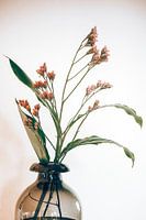 brown vase