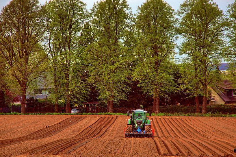 Travail de terrain par Edgar Schermaul