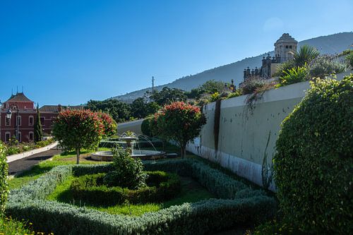 Le jardin Victoria dans la ville de La Orotava