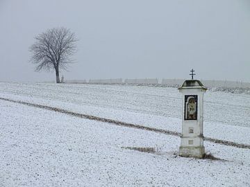 Winter im Weinviertel van Ilona Picha-Höberth