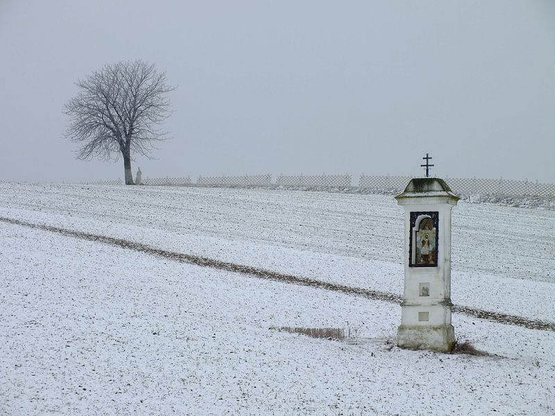 Winter im Weinviertel von Ilona Picha-Höberth