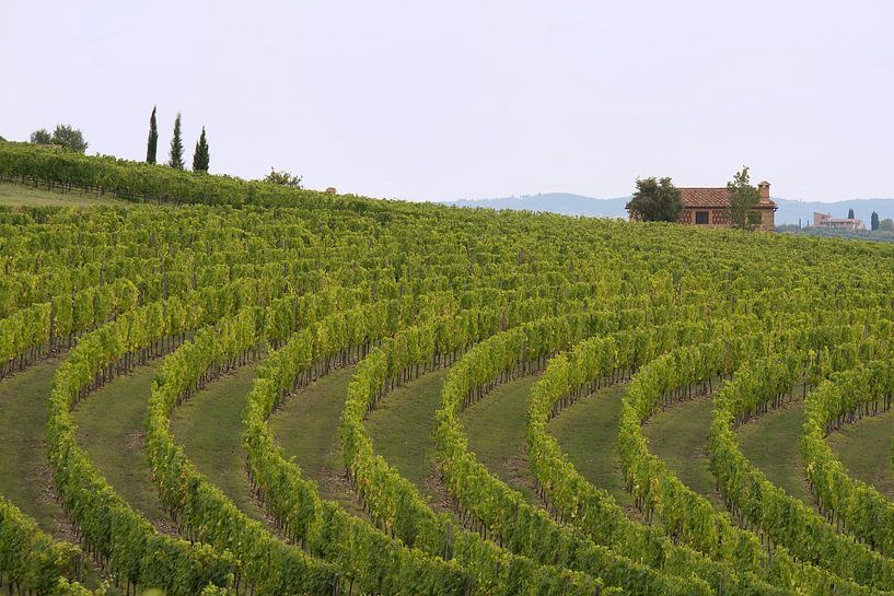 Chianti wine region by Barbara Brolsma