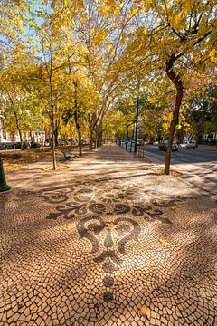 Lissabons Mosaike auf dem Fußweg von Leo Schindzielorz