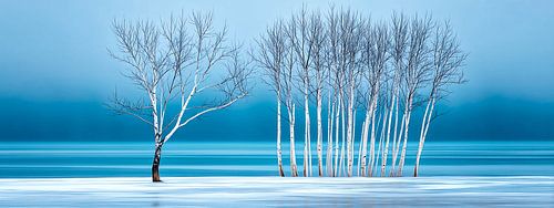 Winter Silence | Panorama Wall Decoration in Ice Blue