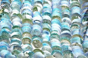 Schelpen in blauw en grijs