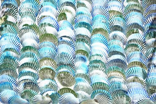 Muscheln in Blau und Grau