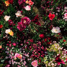 Sea of flowers I by Zoom_Out Photography