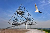 Tetraederblick2