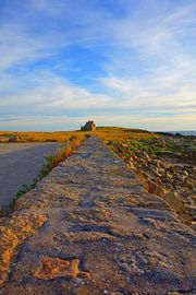 Waar de stenen verhalen vertellen van Theodor Decker