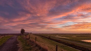 Kleuren van de ondergaande zon