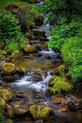 Stampfebächle – Gentle cascading waterfalls in Münstertal - 4