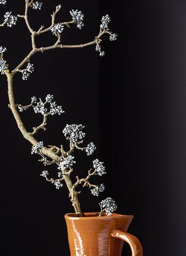Frühling mit einem Twist