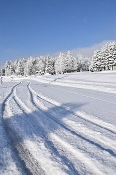 Sporen in de sneeuw op het recreatieterrein in de winter van Claude Laprise