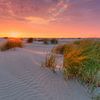 Coucher de soleil dans les dunes de De Cocksdorp sur Texel sur Rob Kints