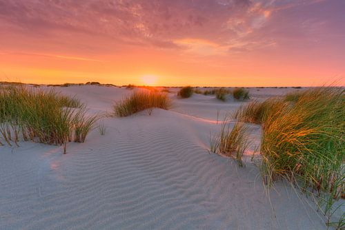 Coucher de soleil dans les dunes de De Cocksdorp sur Texel