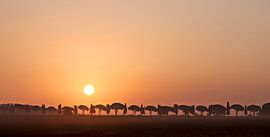 Toscane, 2008 by Arno Fooy