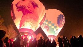 hot air balloon festival by Elise K. Tuni
