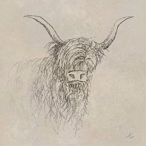 Schottischer Highlander in ländlicher grauer Farbe
