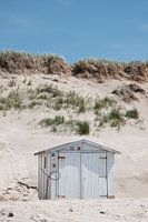 Beach cottages on Texel